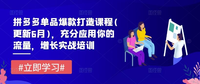 拼多多单品爆款打造课程(更新6月)，充分应用你的流量，增长实战培训-搞个副业