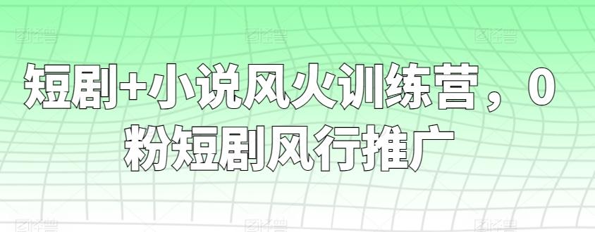 短剧+小说风火训练营，0粉短剧风行推广-搞个副业