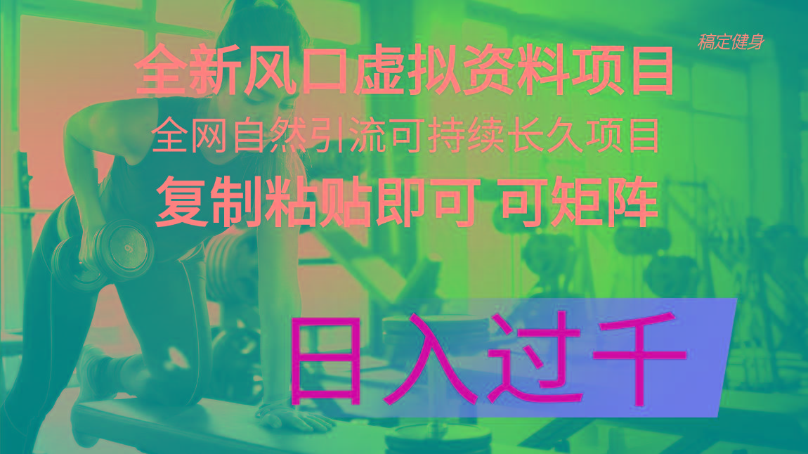 全新风口虚拟资料项目 全网自然引流可持续长久项目 复制粘贴即可可矩阵…-搞个副业