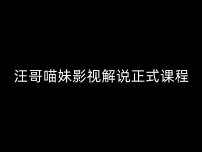 汪哥影视解说正式课程：剪映/PR教学/视解说剪辑5大黄金法则/全流程剪辑7把利器等等-搞个副业