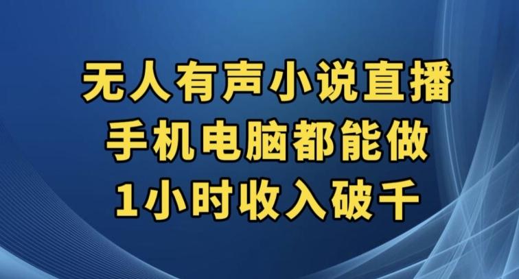 抖音无人有声小说直播，手机电脑都能做，1小时收入破千【揭秘】-搞个副业