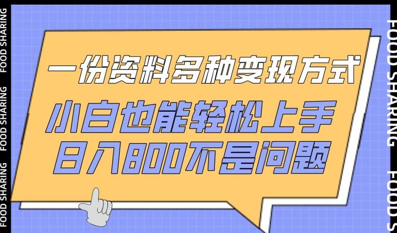 一份资料多种变现方式，小白也能轻松上手，日入800不是问题【揭秘】-搞个副业