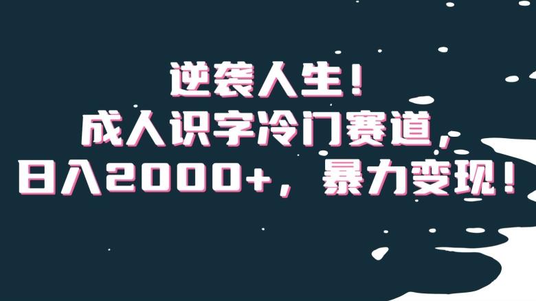 逆袭人生！成人识字冷门赛道，日入2000+，暴力变现！【揭秘】-搞个副业
