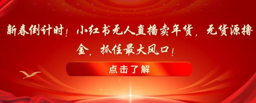新春倒计时！小红书无人直播卖年货，无货源撸金，抓住最大风口【揭秘】-搞个副业