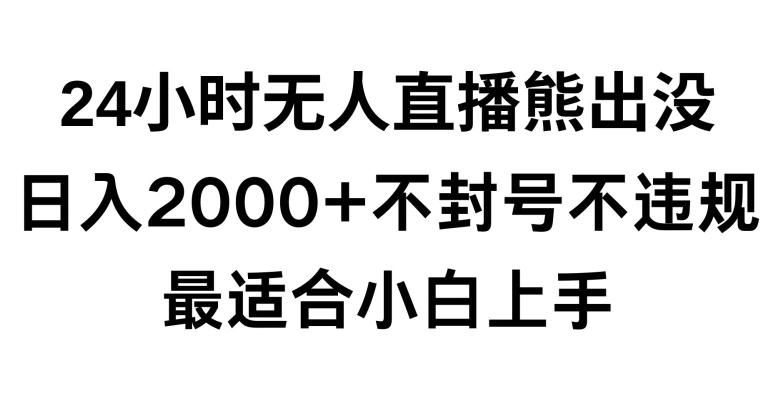 快手24小时无人直播熊出没，不封直播间，不违规，日入2000+，最适合小白上手，保姆式教学【揭秘】-搞个副业