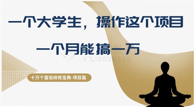 十万个富翁修炼宝典之4.一个大学生操作这个项目，一个月能搞一万-搞个副业