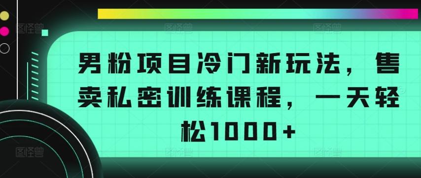 男粉项目冷门新玩法，售卖私密训练课程，一天轻松1000+【揭秘】-搞个副业