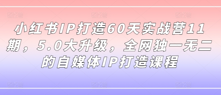 小红书IP打造60天实战营11期，5.0大升级，全网独一无二的自媒体IP打造课程-搞个副业