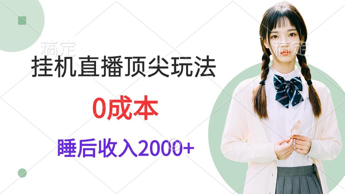 (9715期)挂机直播顶尖玩法，睡后日收入2000+、0成本，视频教学-搞个副业