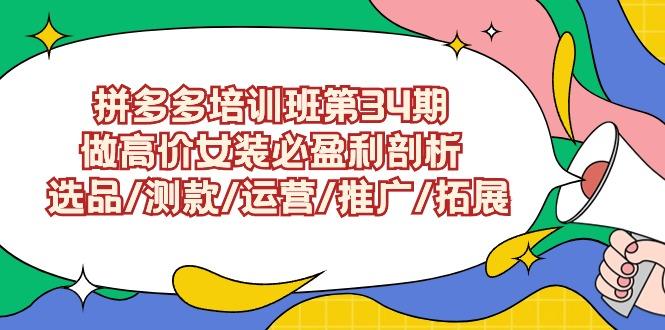 (9333期)拼多多培训班第34期：做高价女装必盈利剖析  选品/测款/运营/推广/拓展-搞个副业