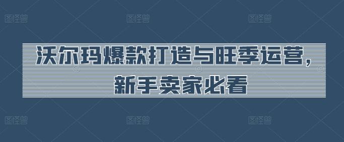 沃尔玛爆款打造与旺季运营，新手卖家必看-搞个副业
