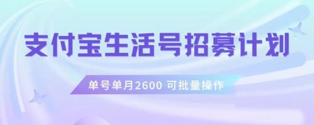 支付宝生活号作者招募计划，单号单月2600，可批量去做，工作室一人一个月轻松1w+【揭秘】-搞个副业