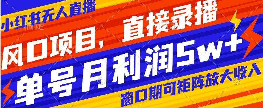 风口项目，小红书无人直播带货，直接录播，可矩阵，月入5w+【揭秘】-搞个副业