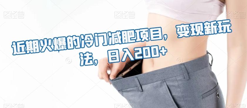 近期火爆的冷门减肥项目，变现新玩法，日入200+-搞个副业