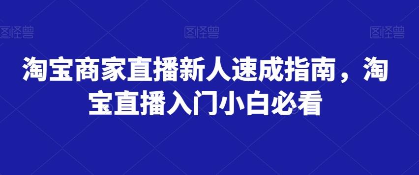 淘宝商家直播新人速成指南，淘宝直播入门小白必看-搞个副业