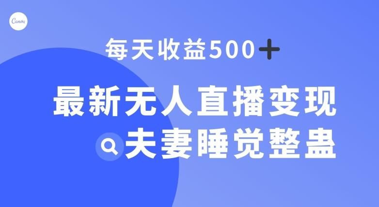 最新无人直播变现，夫妻睡觉整蛊，每天躺赚500+【揭秘】-搞个副业
