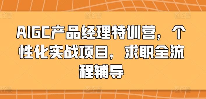 AIGC产品经理特训营，个性化实战项目，求职全流程辅导-搞个副业