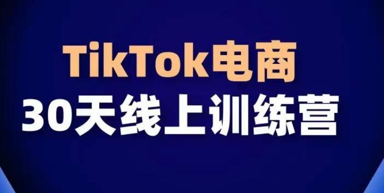TikTok电商带货30天线上课，不可错过的全球流量洼地！-搞个副业