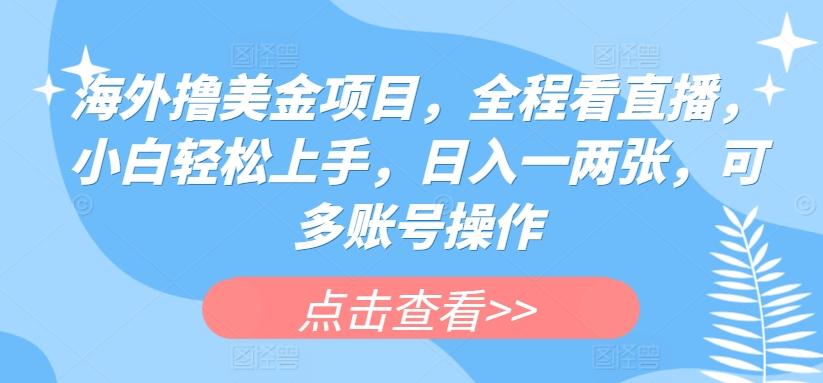海外撸美金项目，全程看直播，小白轻松上手，日入一两张，可多账号操作【揭秘】-搞个副业
