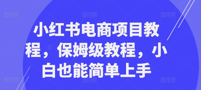 小红书电商项目教程，保姆级教程，小白也能简单上手-搞个副业