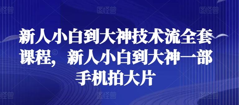 新人小白到大神技术流全套课程，新人小白到大神一部手机拍大片-搞个副业
