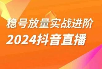 稳号放量实战进阶—2024抖音直播，直播间精细化运营的几大步骤-搞个副业