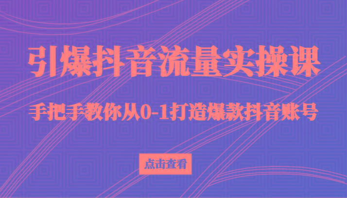 引爆抖音流量实操课，手把手教你从0-1打造爆款抖音账号(27节课)-搞个副业