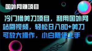冷门撸美刀项目，利用国外网站刷视频，轻松日入80+美刀，可放大操作，小白随便上手-搞个副业