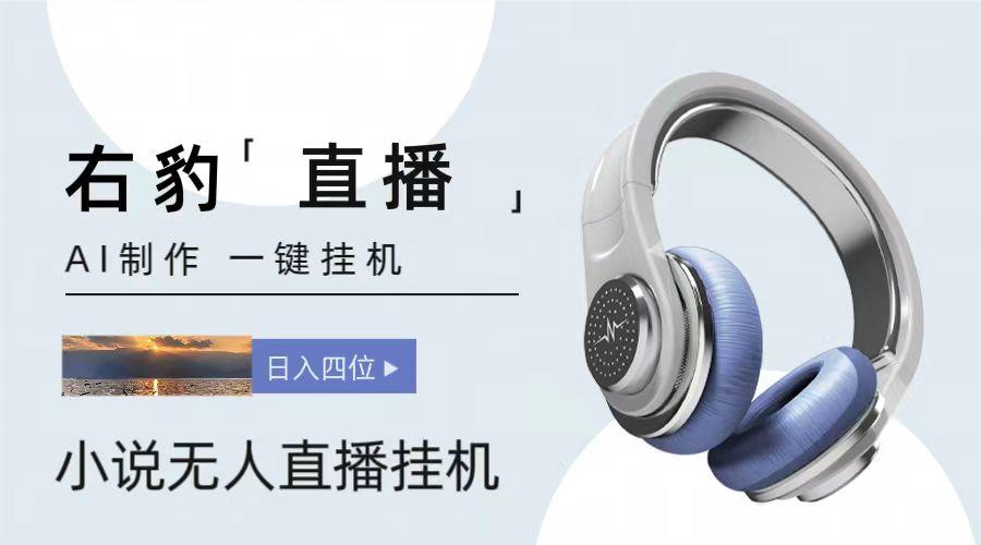 右豹小说无人直播挂机吸金项目，简单易行收益稳定， 月入1000+-搞个副业