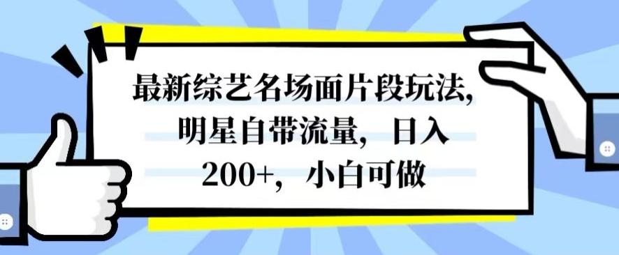 最新综艺名场面片段玩法，明星自带流量，日入200+，小白可做【揭秘】-搞个副业