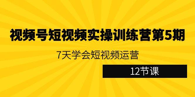 视频号短视频实操训练营第5期：7天学会短视频运营(12节课)-搞个副业