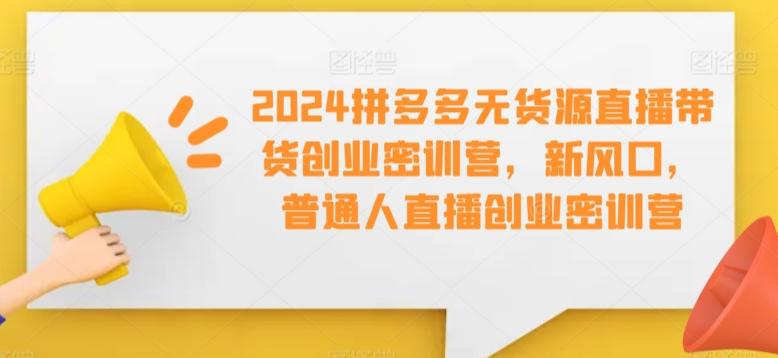 2024拼多多无货源直播带货创业密训营，新风口，普通人直播创业密训营-搞个副业