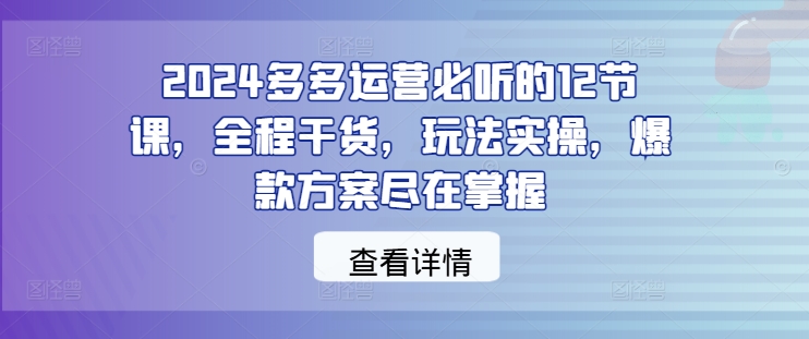 2024多多运营必听的12节课，全程干货，玩法实操，爆款方案尽在掌握-搞个副业