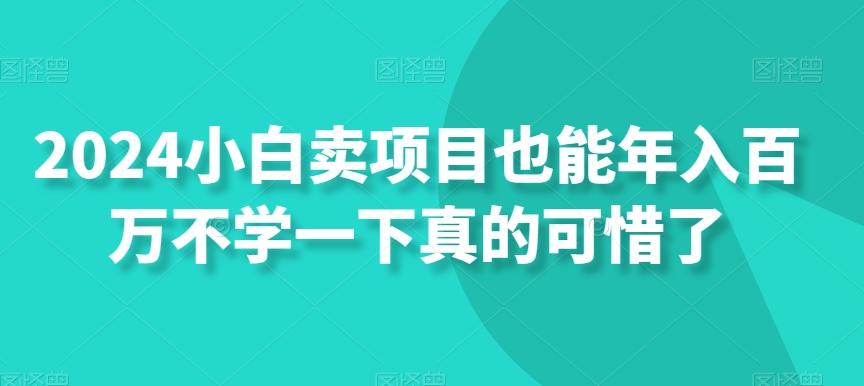 2024小白卖项目也能年入百万不学一下真的可惜了-搞个副业