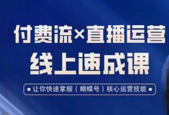 视频号付费流实操课程，付费流✖️直播运营速成课，让你快速掌握视频号核心运营技能-搞个副业