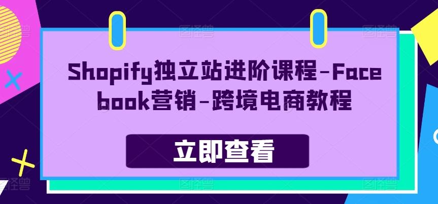 Shopify独立站进阶课程-Facebook营销-跨境电商教程-搞个副业