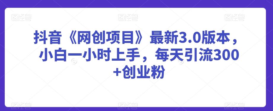 抖音《网创项目》最新3.0版本，小白一小时上手，每天引流300+创业粉【揭秘】-搞个副业