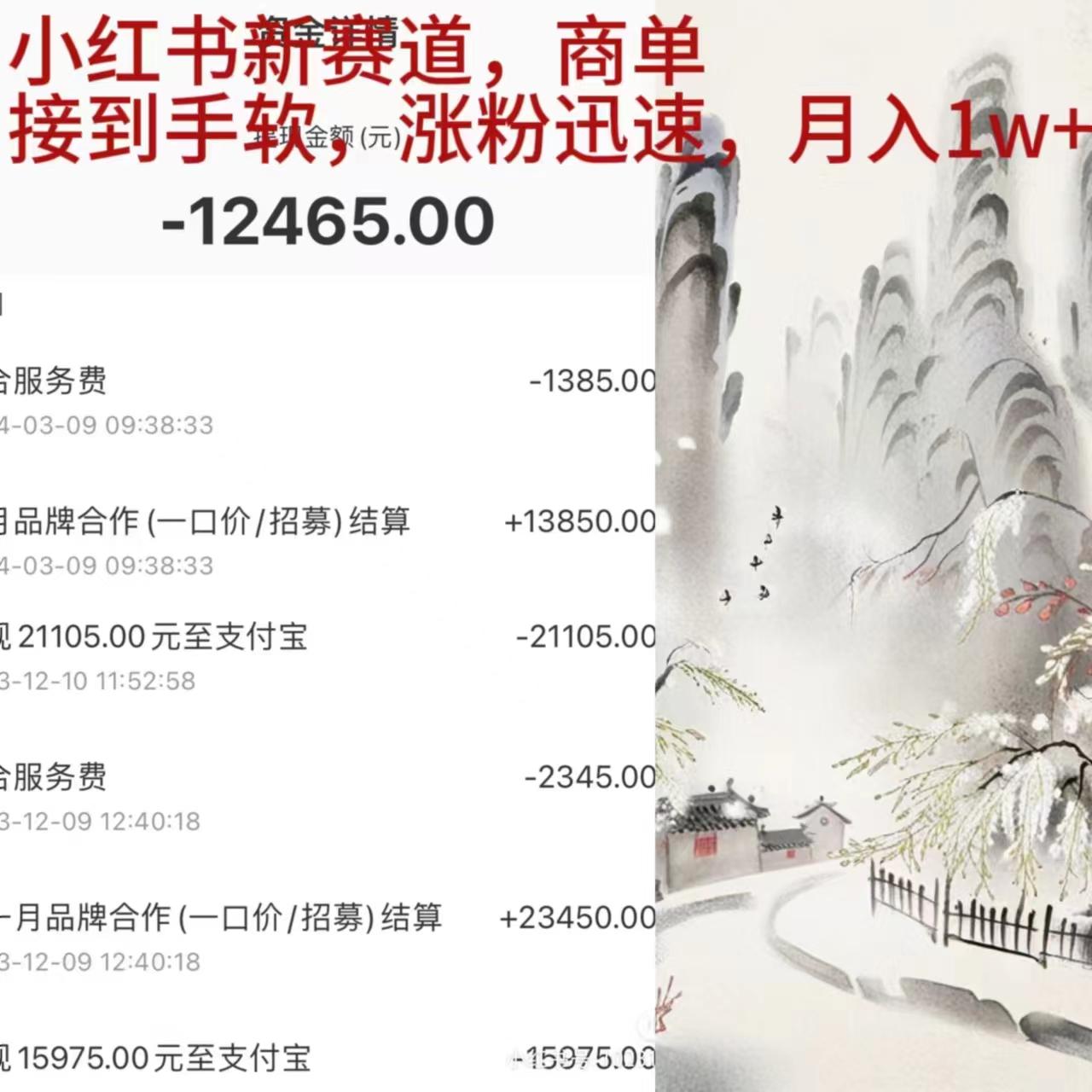 (9476期)小红书新赛道，商单接到手软，涨粉迅速，月入1w+-搞个副业