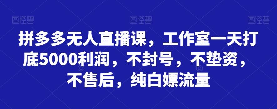 拼多多无人直播课，工作室一天打底5000利润，不封号，不垫资，不售后，纯白嫖流量-搞个副业