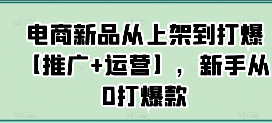 电商新品从上架到打爆【推广+运营】，新手从0打爆款-搞个副业