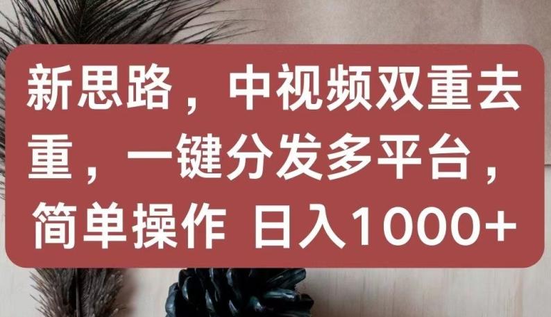新思路，中视频双重去重，一键分发多平台，简单操作，日入1000+【揭秘】-搞个副业