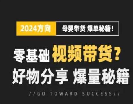 短视频母婴赛道实操流量训练营，零基础视频带货，好物分享，爆量秘籍-搞个副业