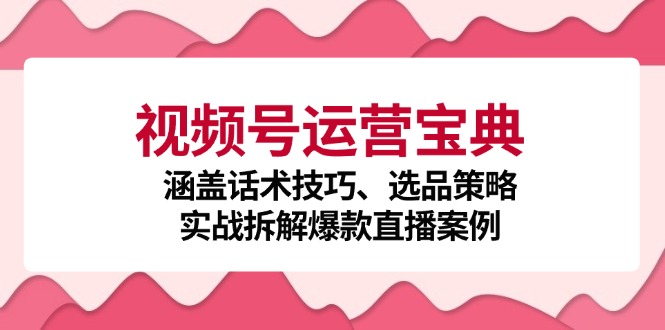 视频号运营宝典：涵盖话术技巧、选品策略、实战拆解爆款直播案例-搞个副业