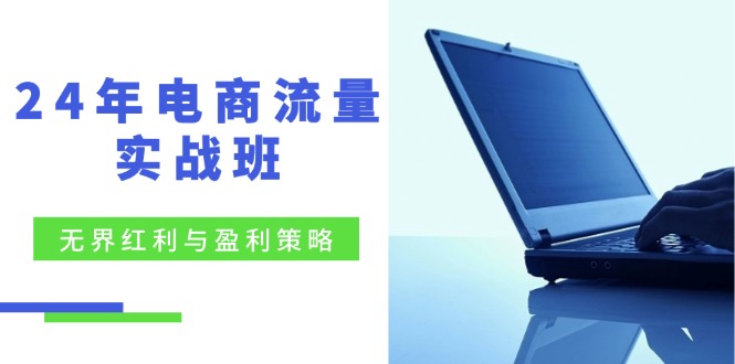 24年电商流量实战班：无界 红利与盈利策略，终极提升/关键词优化/精准…-搞个副业