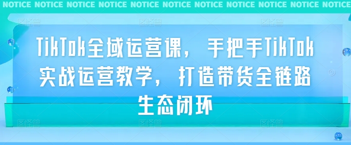 TikTok全域运营课，手把手TikTok实战运营教学，打造带货全链路生态闭环-搞个副业