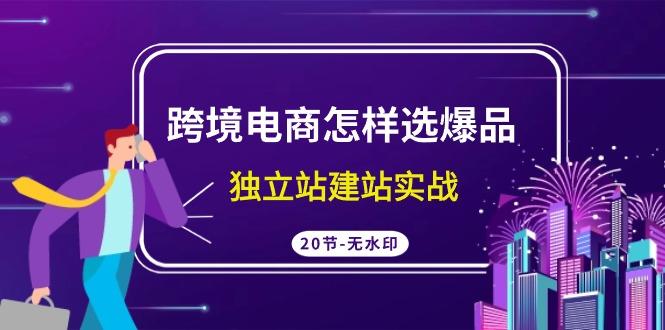 (9369期)跨境电商怎样选爆品，独立站建站实战(20节高清无水印课)-搞个副业