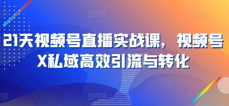 21天视频号直播实战课，视频号X私域高效引流与转化-搞个副业