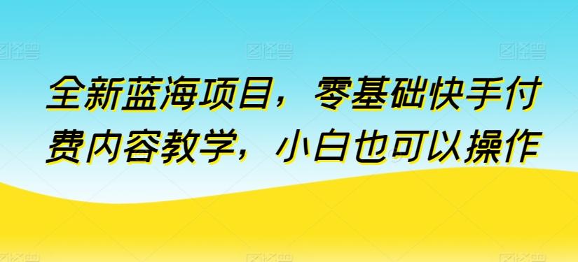 全新蓝海项目，零基础快手付费内容教学，小白也可以操作【揭秘】-搞个副业