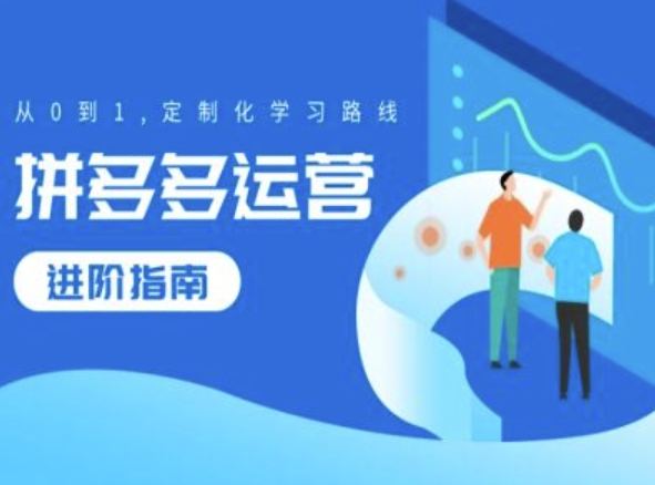拼多多运营进阶指南，从0到1定制化学习路线-搞个副业
