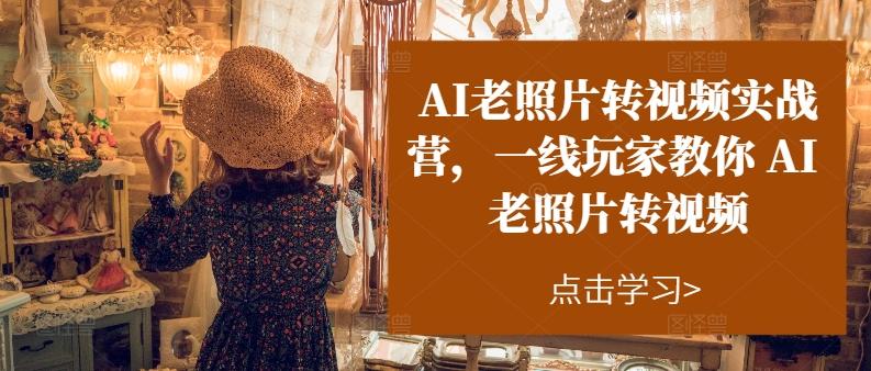 AI老照片转视频实战营，一线玩家教你AI老照片转视频-搞个副业